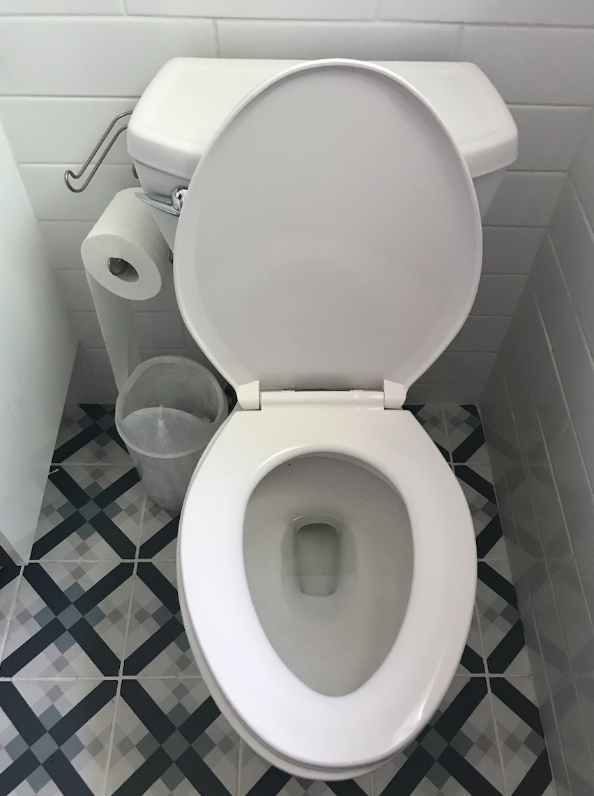 Toilet Keeps Running or Toilet Leaking?