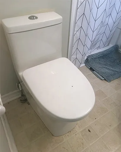 Best Toilet Repairs Ottawa