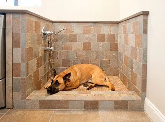 plumber-mudroom-dog-bath-installation